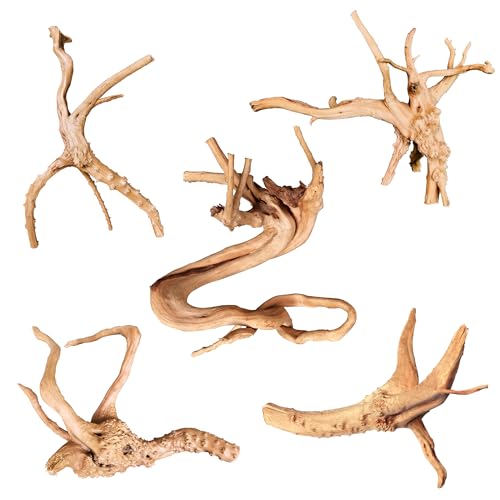 majoywoo Natural Driftwood for Aquarium Decor Fish Tank Decorations, Assorted Spider Wood Branch 4-8" 5 Pcs, Reptile Decor - Spiderwood 4 to 8 Inch(Pack of 5)