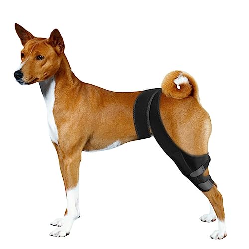 JUANWAN Dog Knee Brace Leg Braces - Dog Canine Knee Stifle Brace Wrap Dog Knee Brace for Torn ACL Hind Leg Joint Pain Muscle Sore Pet Brace Reduces Pain and Inflammation #09 - L