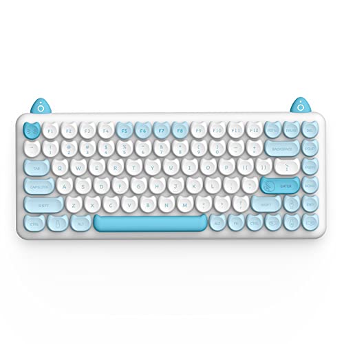 iQunix M80 Purry Cat Wireless Mechanical Keyboard, Wireless/Wired USB Rechargeable Bluetooth Keyboard 84 Keys Kailh Blue Switches with White LED Backlit for Windows/Mac/Android/iOS - Persian - Kailh Blue Switch