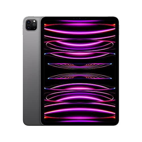 Apple iPad Pro 11-inch (4th Generation): with M2 chip, Liquid Retina Display, 256GB, Wi-Fi 6E, 12MP front/12MP and 10MP Back Cameras, Face ID, All-Day Battery Life – Space Grey - Wi-Fi - 256GB - Space Grey
