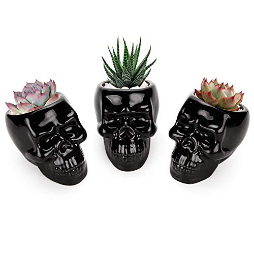 T4U Skull Succulent Planter Pots Set of 3, Gothic Caramic Planter, Creative Plant Lover Gifts for Christmas Birthday House Warming, Cactus Plant Pot Pen Pencil Holder for Home Office Decor, Black - Black-skull