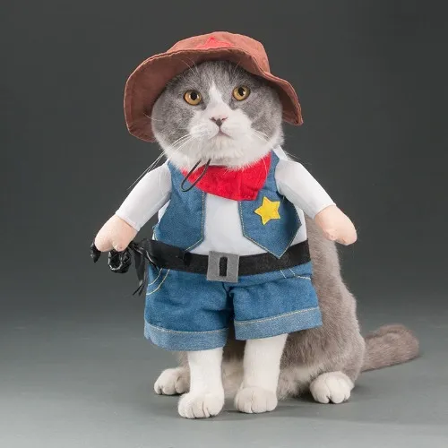 Cat clothes