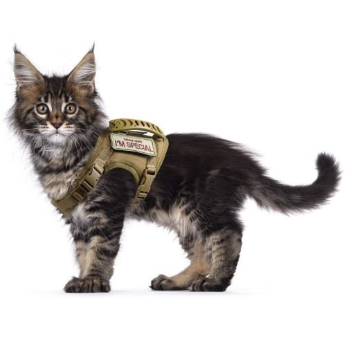 Tactical Cat Harness for Walking Escape Proof, Soft Mesh Adjustable Pet Vest Harness for Large Cat,Small Dog - Large Khaki