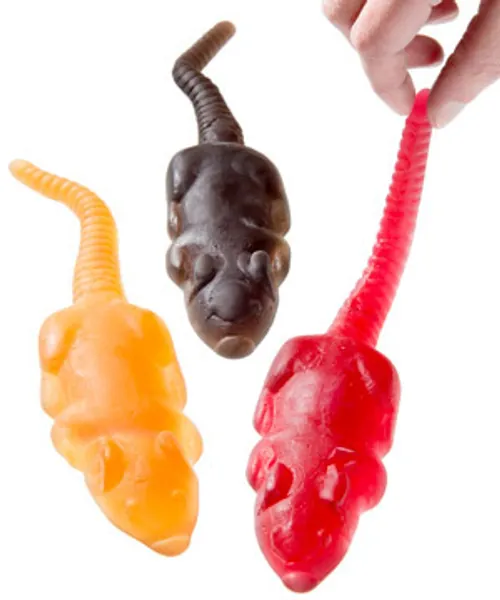 Gummy Rat: Deliciously gross gummy rodent.