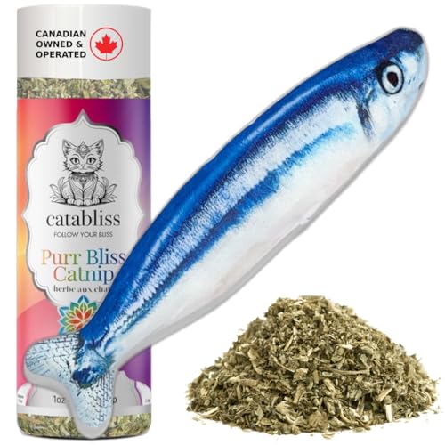 Catabliss Canadian Catnip 1 oz with Refillable Cat Kicker Blue Fish Toy | Fresh, Ethically Grown Joy - Blue