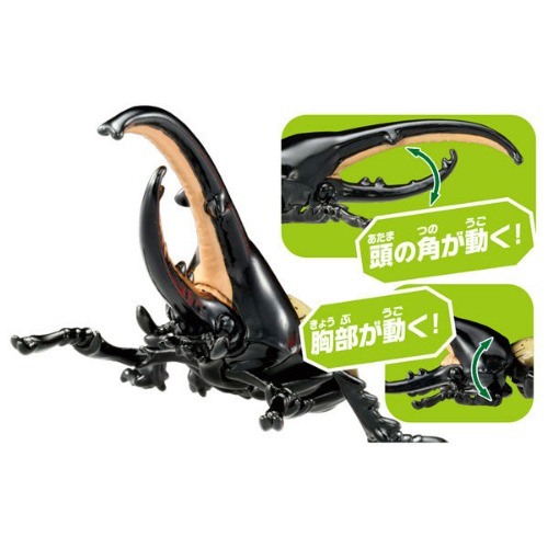 Ania AS-38 Hercules Beetle - Brand New
