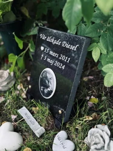 Tofsa's grave stone