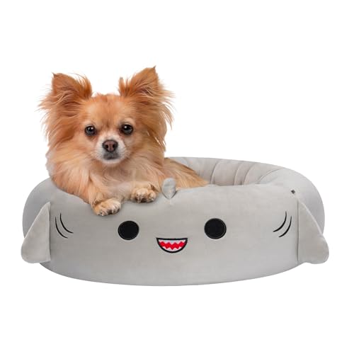 Squishmallows 24-Inch Gordon Shark Pet Bed - Medium Ultrasoft Official Squishmallows Plush Pet Bed - 24.0"L x 24.0"W x 8.0"Th