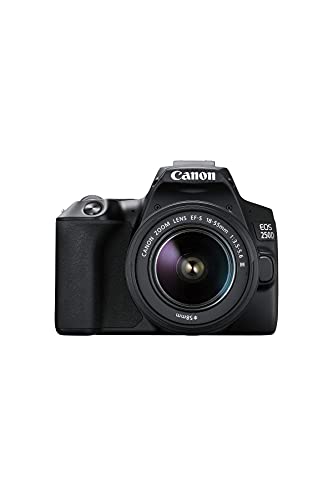 Canon EOS 250D Digitalkamera - mit Objektiv EF-S 18-55mm F4-5.6 IS STM (24, 1 Megapixel, 7, 7 cm (3 Zoll) Vari-Angle Display, APS-C-Sensor, 4K, Full-HD, DIGIC 8, WLAN, Bluetooth), schwarz - schwarz - EOS 250D inkl. EF-S 18-55mm f/3.5-5,6 III - Single