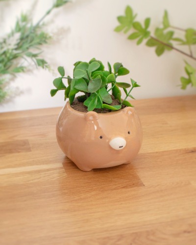 Bear planter