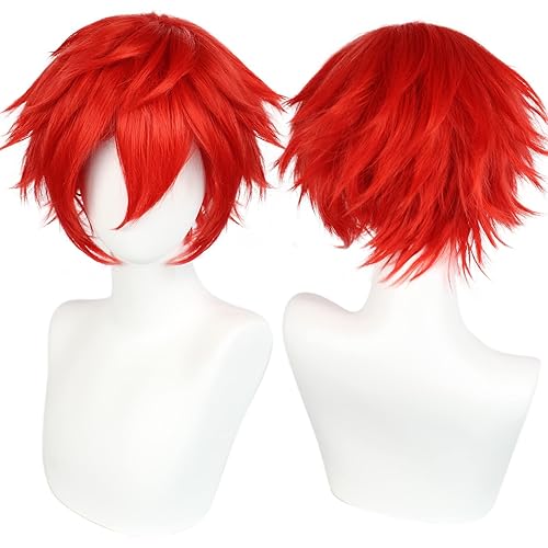 Red Wig Men's 