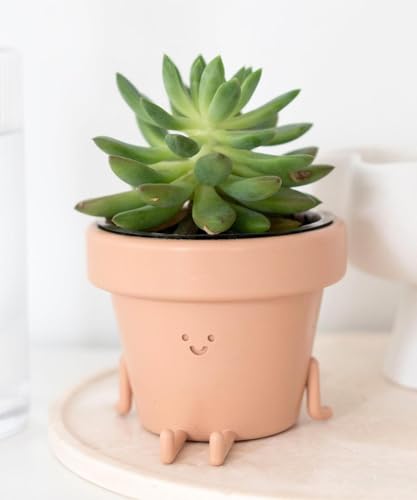 Indoor Plant Pot, Unique Cute Plastic Flower Pot with Face, 3.5 Inch Succulent/Cactus Planter, Plant Lover Gift, Decorative Novelty Planter - Legs Out Front