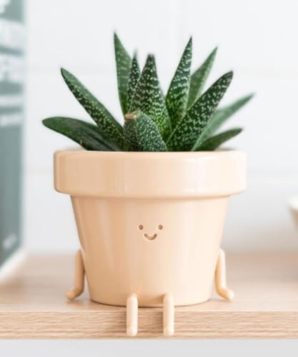 Indoor Plant Pot, Unique Cute Plastic Flower Pot with Face, 3.5 Inch Succulent/Cactus Planter, Plant Lover Gift, Decorative Novelty Planter - Sitting