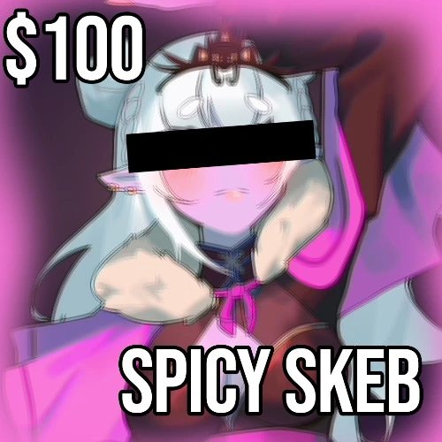 $100 Spicy Skeb