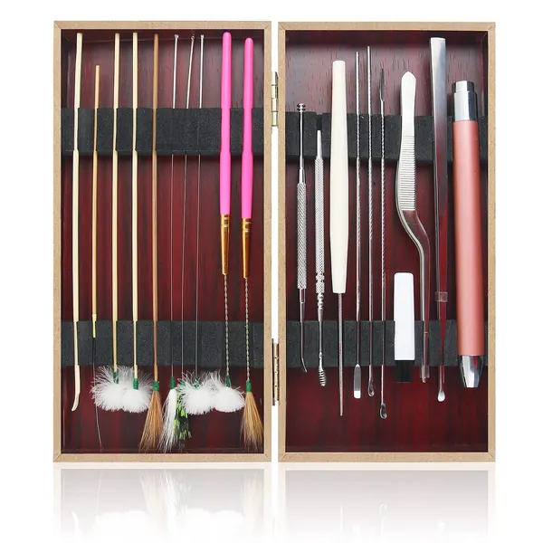 20Pcs Earwax Removal Kit
