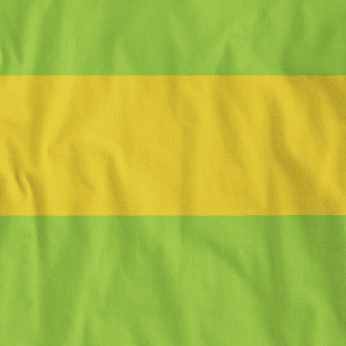 Important Person's Shirt | Unisex XL / Green