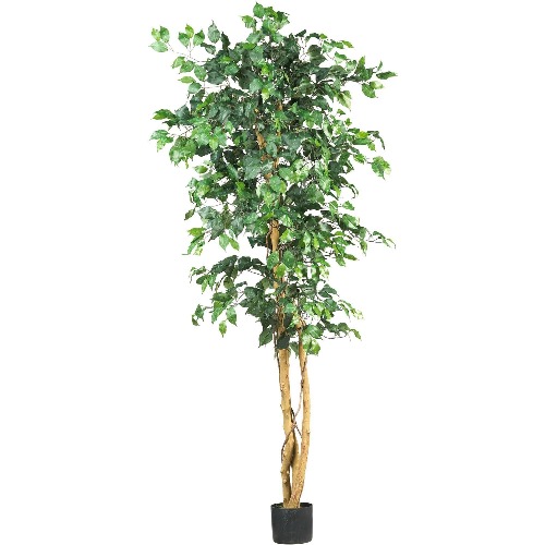 Throne | Rors | 6' Ficus Silk Tree by Nearly Natural