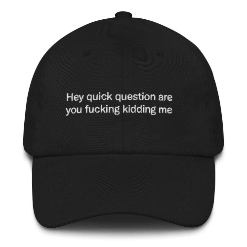 Hey quick question are you fucking kidding me Embroidered Hat - Black