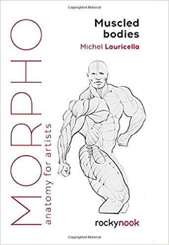 Morpho: Muscled Bodies: Anatomy for Artists (Morpho: Anatomy for Artists) - Paperback