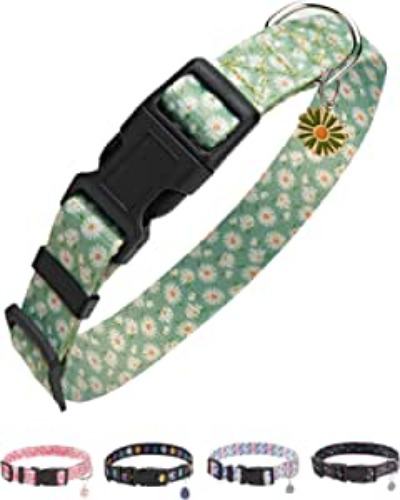 Solmoony Cute Dog Collar for Small Dogs, Small Dog Collar for Females and Male, Boy and Girl Dog Collars, Spring Dog Collar, Male and Female Dog Collars. (S, Green)