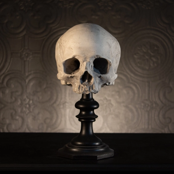 SKULL OF J.DOE Plinth | Human Skull Replica | Gothic Home Decor