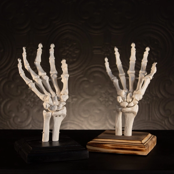 Skeleton Ring Holder | Gothic Jewellery Stand | Ring Tree | By The Blackened Teeth