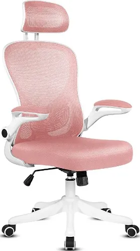Amazon.com: Pink Office Chair, Ergonomic Chair, Mesh Office Chair, Mesh Chair, Office Chair with Adjustable Lumbar Support and Headrest, Executive Office Chair, Desk Chair with Flip-up Armrest for Home : Home & Kitchen