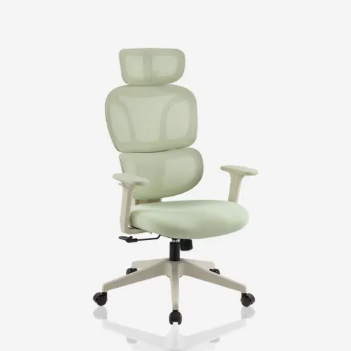 Chaise de bureau ergonomique fraîche et colorée BS5