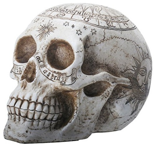 YTC 7.75 Inch Resin Skull with Astrology Engravings, White Colored