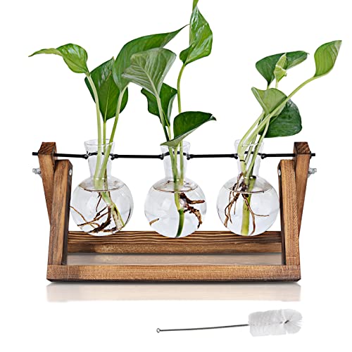 Plant Propagation Station