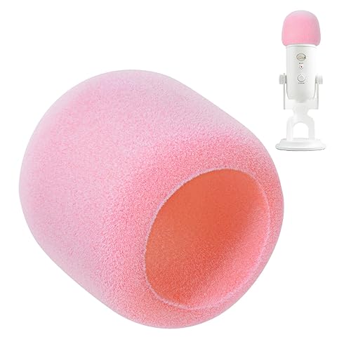 Pop Filter for Microphone