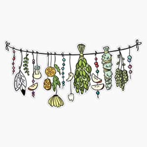 Witch'S Herbs Bumper Sticker Window Vinyl Decal 5"