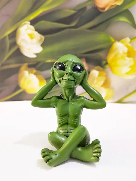 1pc Alien Design Decoration Craft