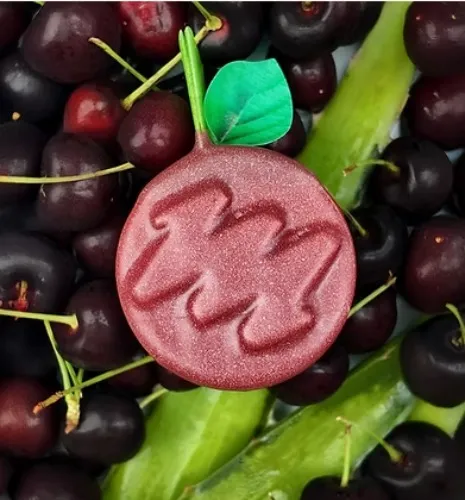 Jackpot Fresh Shampoo Bar | Mutt Fresh 