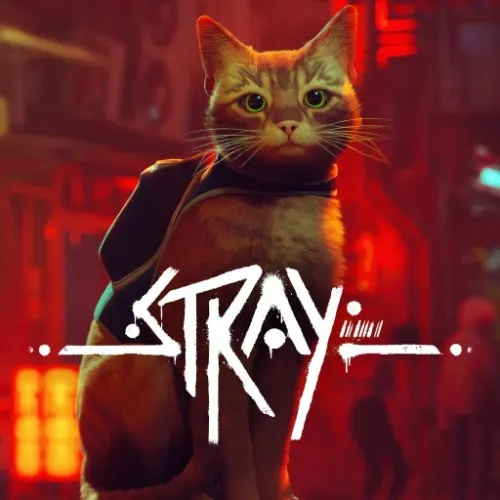 Stray [GAME]