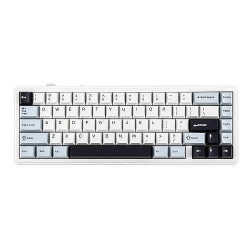 EPOMAKER x Aula F65 65% Wireless Mechanical Keyboard, Hot Swappable Gasket Custom Gaming Keyboard with Five-Layer Padding, RGB Backlit, Bluetooth/2.4GHz/USB-C (Light Blue, Reaper Switch) - Reaper Switch - Light Blue
