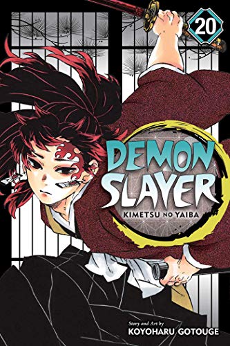 Demon Slayer: Volume 20