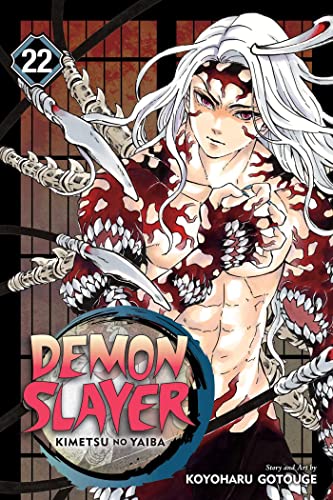 Demon Slayer: Volume 22