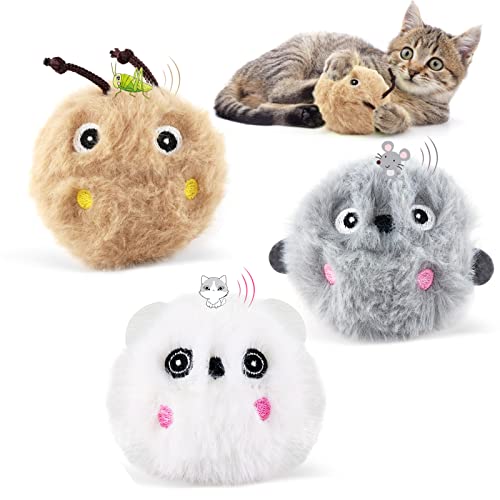 3 Stück Katzenspielzeug mit Katzenminze, Interaktives Katzenball Elektrisch mit Ton, Cat Toy für Katze Übung - 3 Stücke