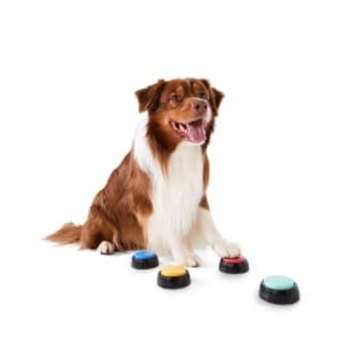 Pet Talking Buttons