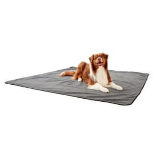 Pet Extra Large Accident Protector