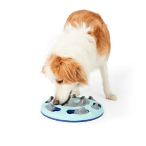 Pet Treat Puzzle Toy