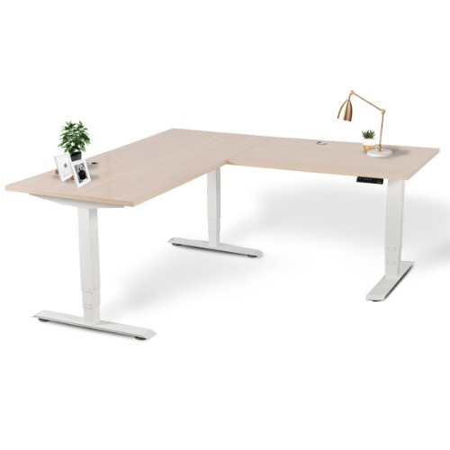 Executive Standing Corner Desk - L Shaped - Large 71" × 71" / White / Oak Wood