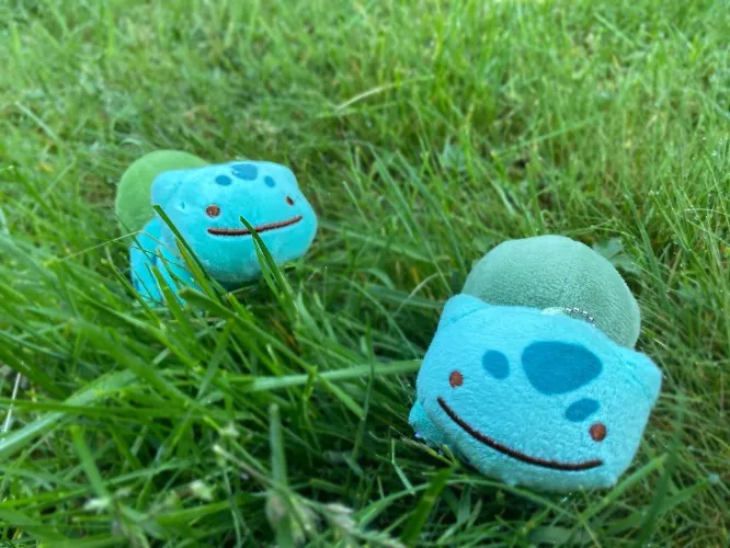 Donation Replacement System