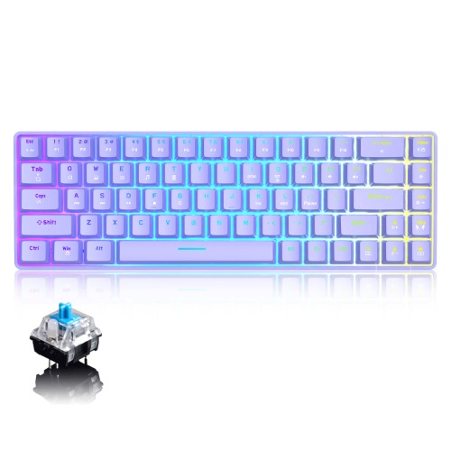LexonElec 60% Wired Gaming Keyboard, RGB Backlit Ultra-Compact Mechanical Keyboard, Blue Switch Waterproof Compact 68 Keys Keyboard for Typist Laptop PC Mac Gamer(Purple)