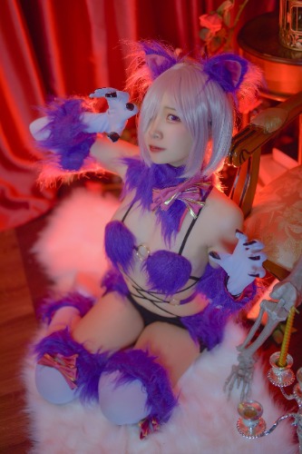 Fate/Grand Neko Cosplay Set - S/M