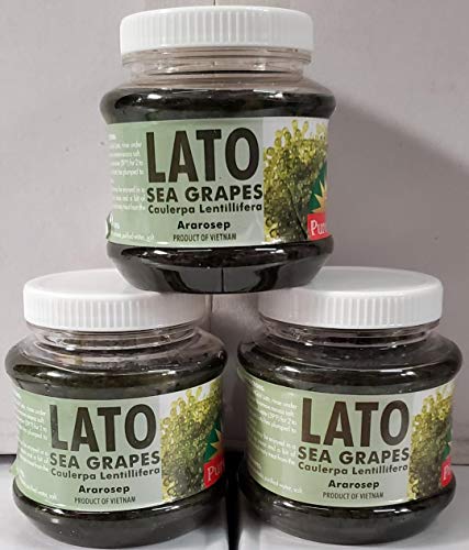 The Original Puregold Lato SeaGrapes - Ararosep - 3 Jars
