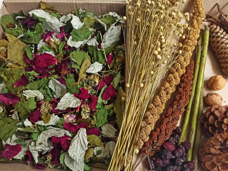 Hamster Sprays box, Rabbits, Guinea Pigs, Hamsters: Little Pet Treats,Perfect Hay,Greens Topper for Rabbit