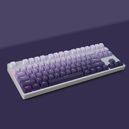 PBT Doubleshot Keycaps Gradient Purple Backlit OEM Profile Keycaps Full Set 123 Keys Custom Shine Through Keycaps for 60% 65% 75% 100% Cherry Gateron MX Switches Mechanical Keyboard - Purple