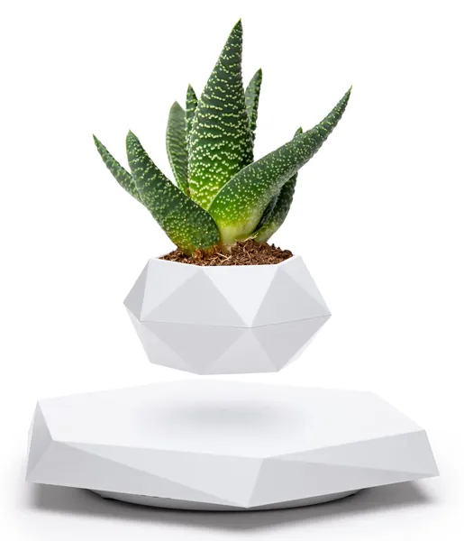 BandD Floating Plant Pot - Levitating Plant Pot for Succulents, air Bonsai & air Plants. Floating Planter for Home, Office & Desk Levitating Decor. Magnetic Floating Levitating Display. (White) - White